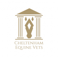 Cheltenham Equine Vets Testimonial Slider Image